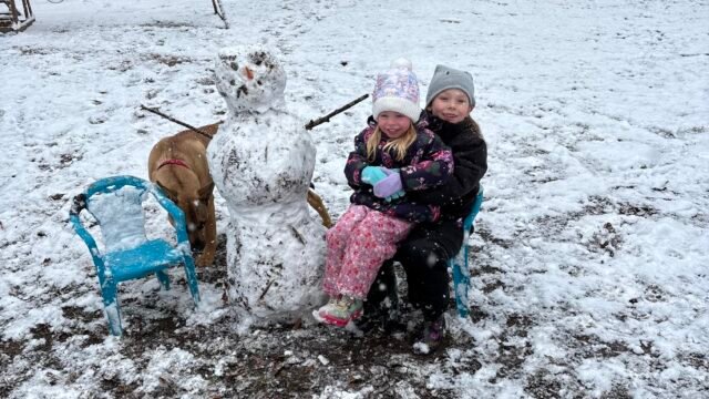 Snowday